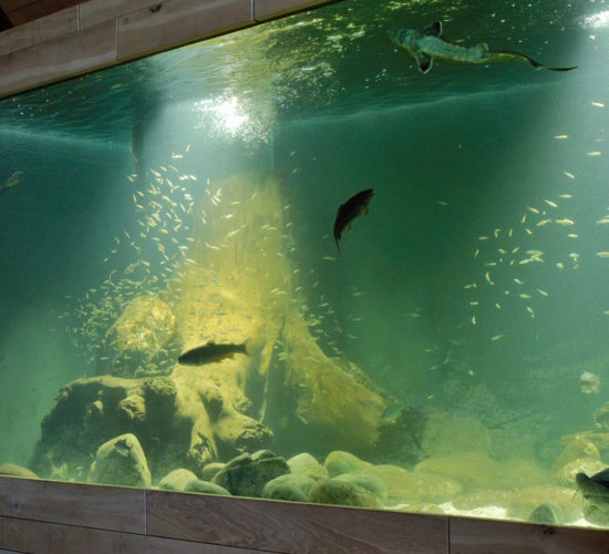 Aquarium Wohnhaus Sigharting