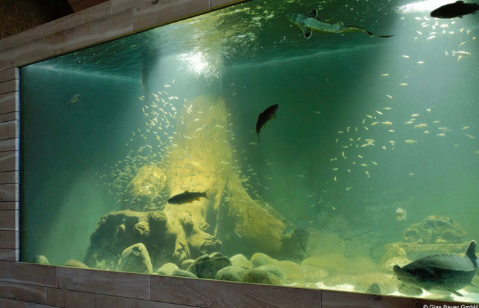 Aquarium Wohnhaus Sigharting